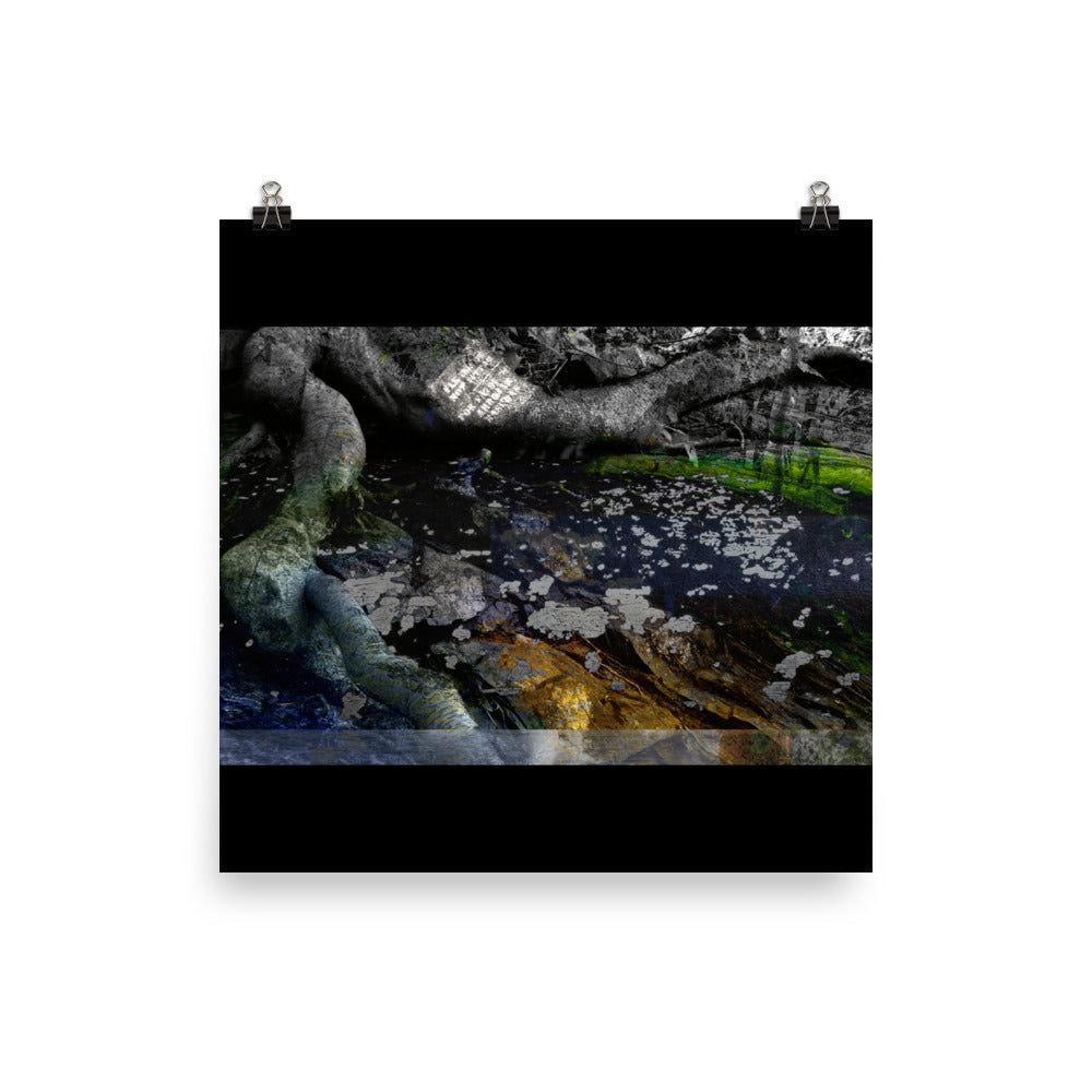 02 - Hiemal - Print