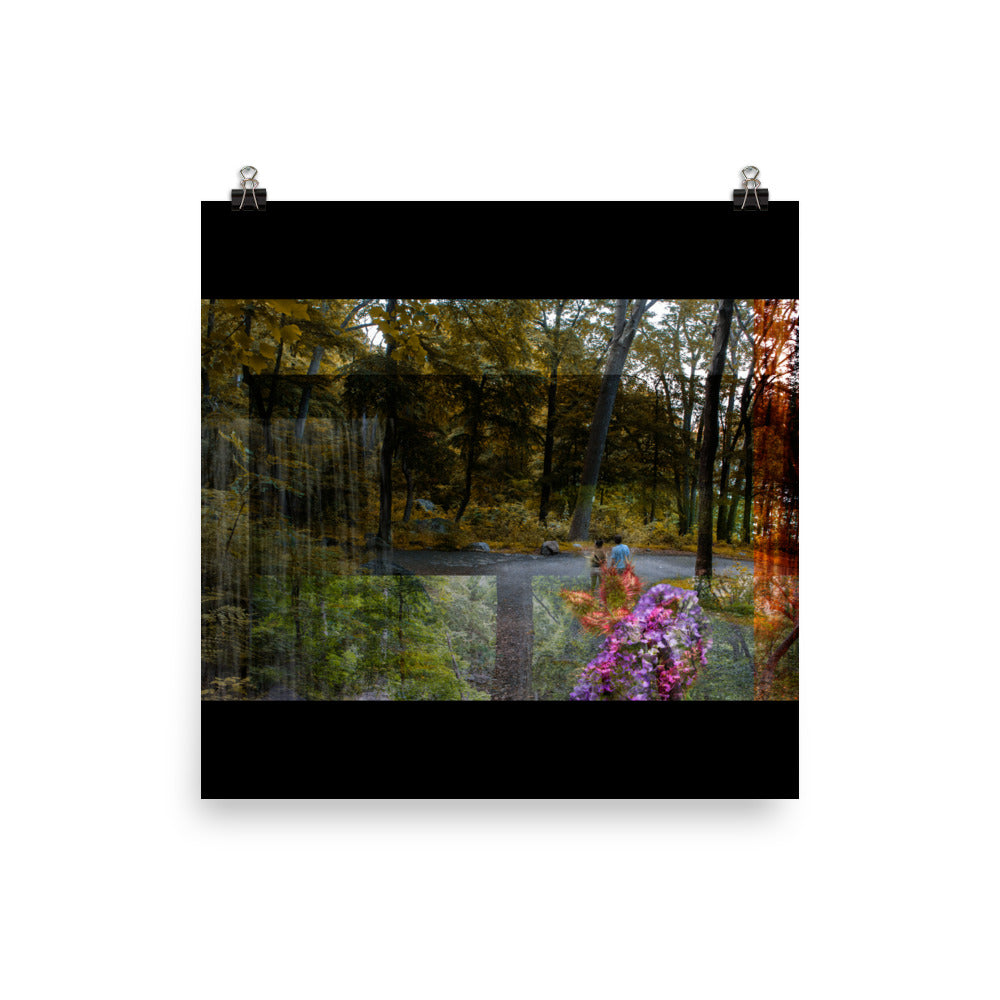 04 - An Autumn Leaf - Print