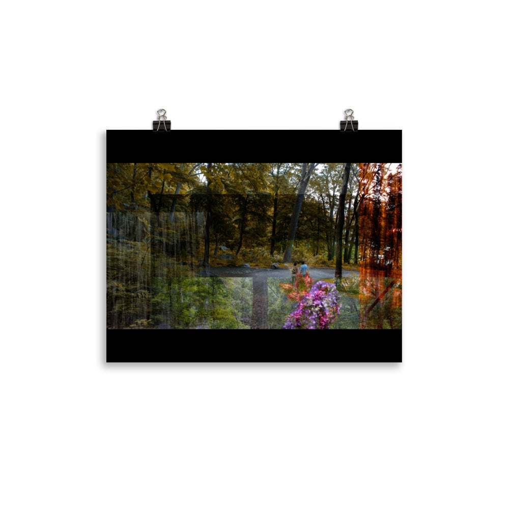 04 - An Autumn Leaf - Print