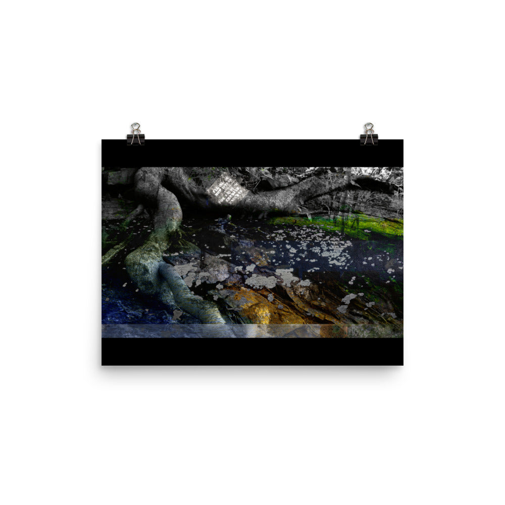 02 - Hiemal - Print