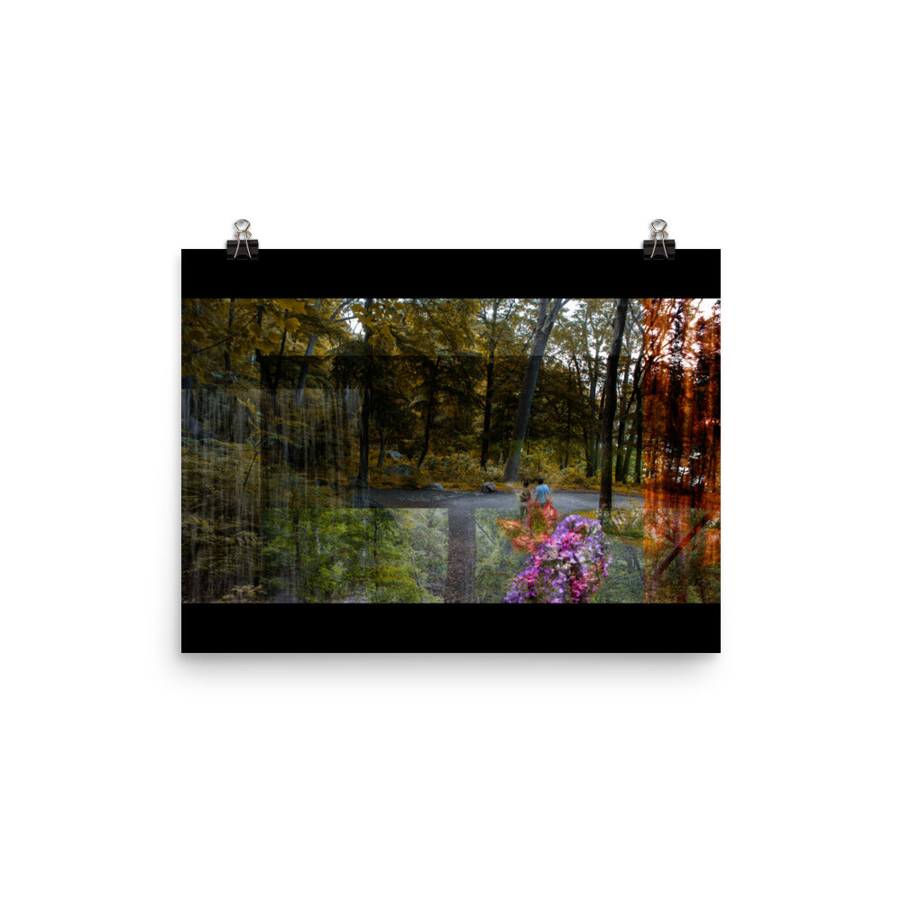04 - An Autumn Leaf - Print