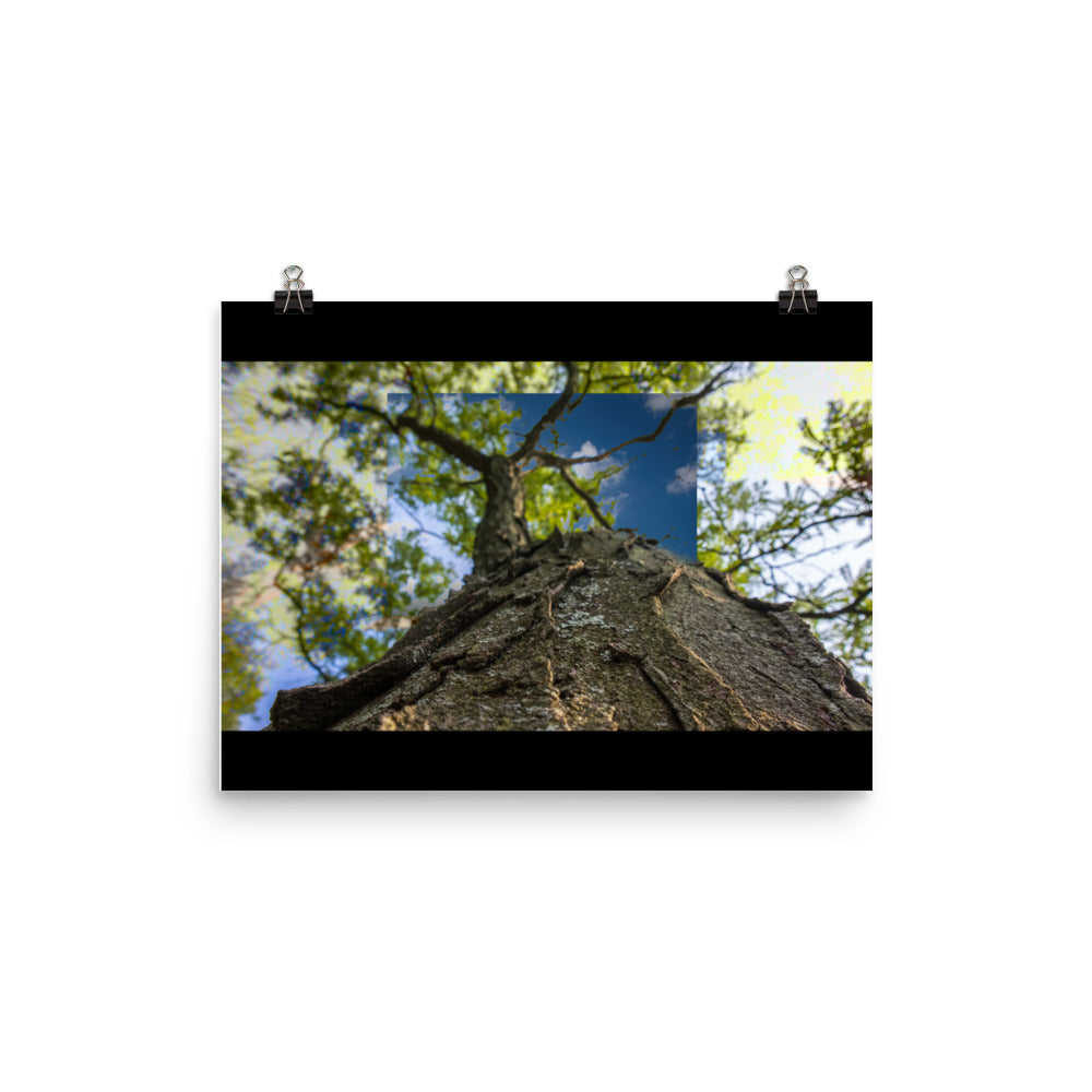 09 - For Someone Somewhere Far Away - Print