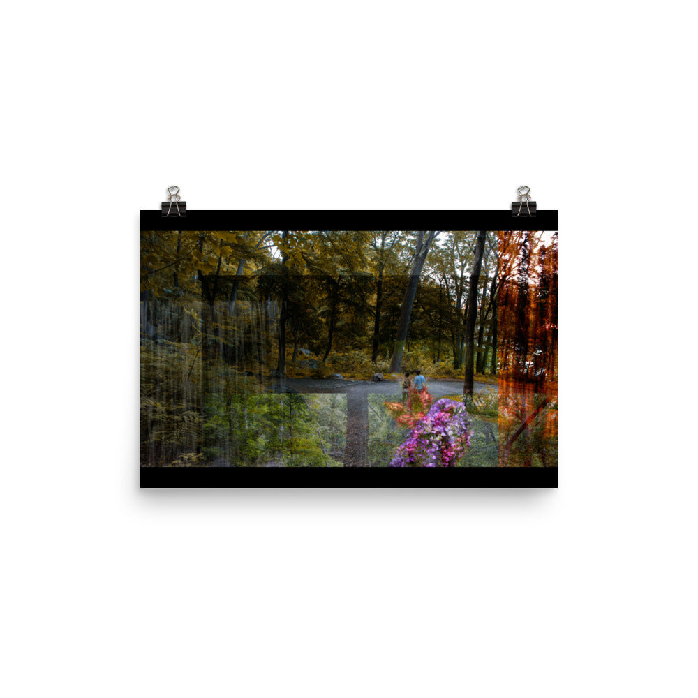 04 - An Autumn Leaf - Print