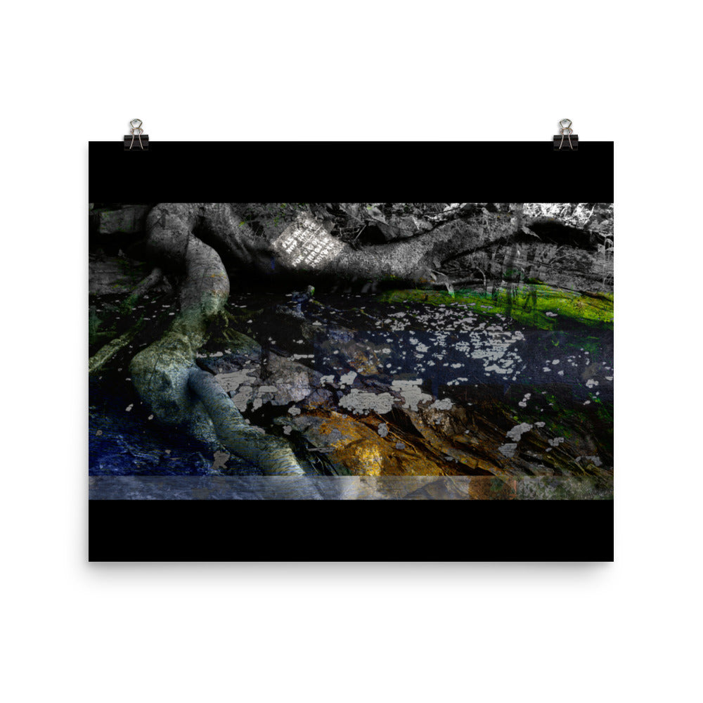 02 - Hiemal - Print