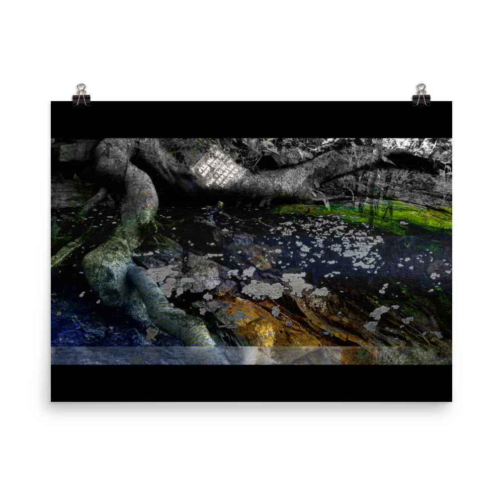 02 - Hiemal - Print