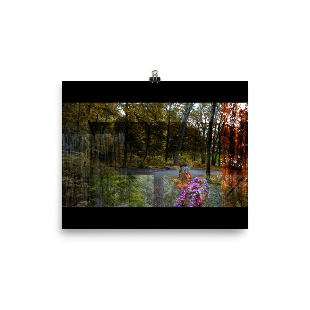 04 - An Autumn Leaf - Print