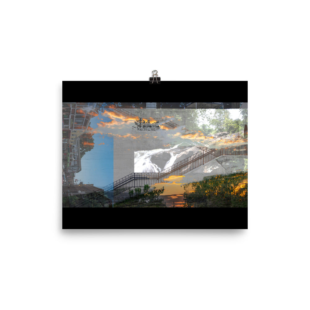 07 - Xylem - Print
