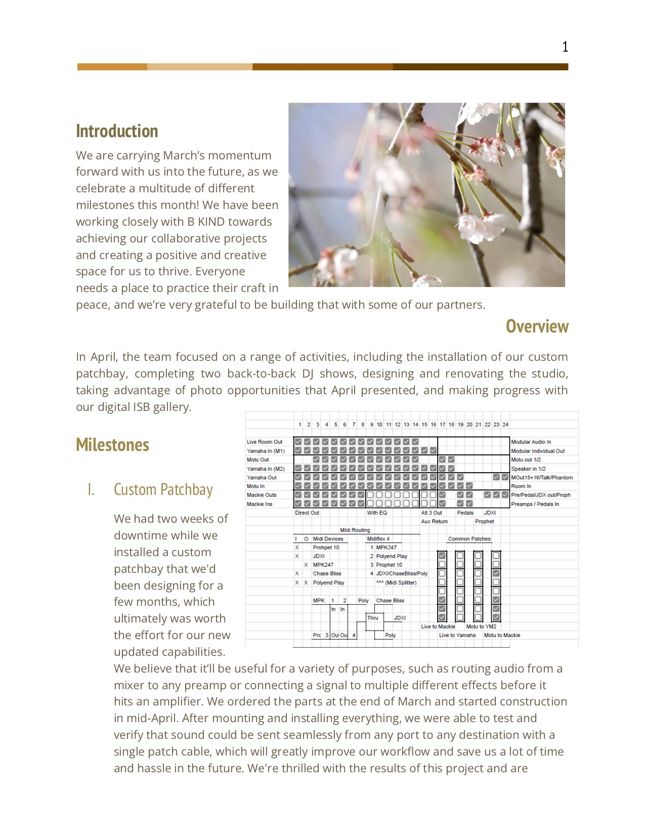 N. Minsi Monthly Updates, Year 1